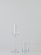 Load image into Gallery viewer, R. Jelinek Family Reserve Slivovitz 15 Years