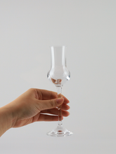 Load image into Gallery viewer, R. Jelinek Family Reserve Slivovitz 15 Years