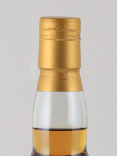 Load image into Gallery viewer, Oceans Talisker 11 Years 2012