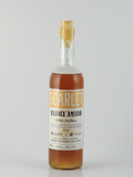 Scarlet Radice Amaro 2024