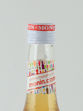 Load image into Gallery viewer, Monin Vanilla Syrup 700ml
