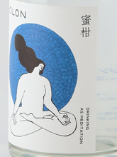 Load image into Gallery viewer, HOLON Gin Mikan