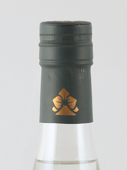 Savannah Trad G