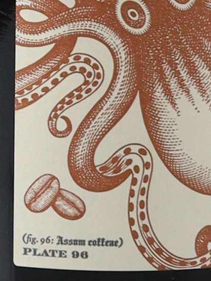 The Kraken Roast Coffee Black Spiced 1L