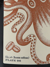 Load image into Gallery viewer, The Kraken Roast Coffee Black Spiced 1L