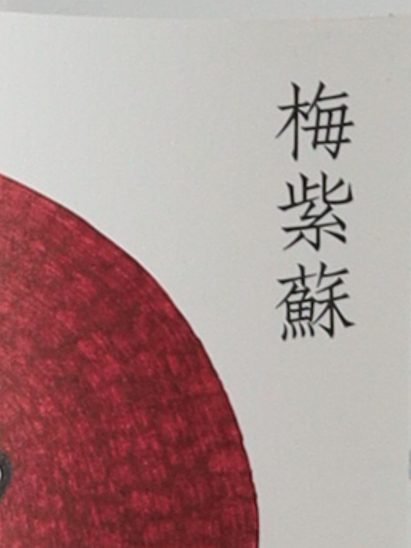 HOLON Gin Ume Shiso