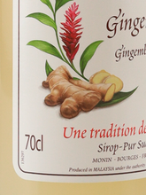Load image into Gallery viewer, Monin Ginger Syrup 700ml