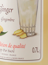 Load image into Gallery viewer, Monin Ginger Syrup 700ml