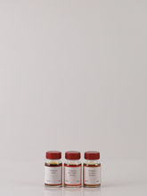 Load image into Gallery viewer, Saint Agrestis Tasting Set