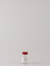 Load image into Gallery viewer, Peter in Florence Tasting Set