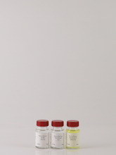 Load image into Gallery viewer, Peter in Florence Tasting Set