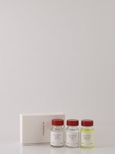 Load image into Gallery viewer, Peter in Florence Tasting Set