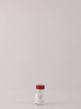 Load image into Gallery viewer, Peter in Florence Tasting Set