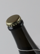 Load image into Gallery viewer, L'Arbre aux Abeilles Hydromel Petillant Fleuri 750ml (Label Defect) - image 9