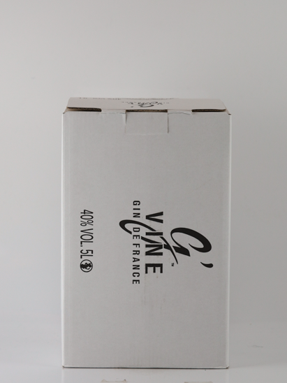 g’Vine Gin Floraison Bag in Box