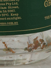 Load image into Gallery viewer, Australian Green Ant Gin