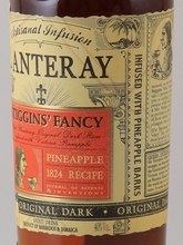 Load image into Gallery viewer, Planteray Stiggins fancy pineapple