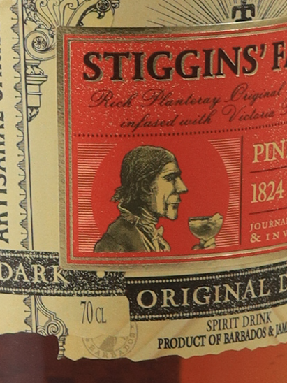 Planteray Stiggins fancy pineapple