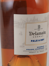 Load image into Gallery viewer, Delaman Pale &amp; Dry XO 42% 500ml [Authorized Import]