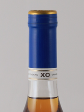 Load image into Gallery viewer, Delaman Pale &amp; Dry XO 42% 500ml [Authorized Import]