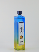 Load image into Gallery viewer, Craft Gin Setouchi Hassaku