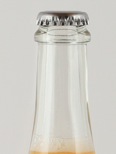 Load image into Gallery viewer, ULO slightly fermented apple juice