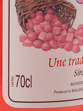 Load image into Gallery viewer, Monin Bubble Gum syrup
