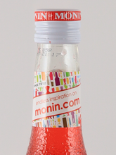 Load image into Gallery viewer, Monin watermelon syrup 700ml