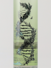 Load image into Gallery viewer, AGCT Ukitsuki Wasabi Gin