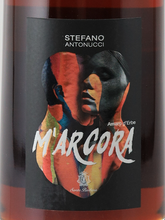 Load image into Gallery viewer, Amaro d'Erbe