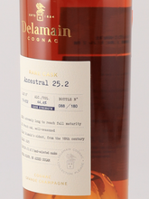 Load image into Gallery viewer, Delamain Playard Ancestral 25.2