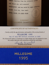 Load image into Gallery viewer, Delamain Playard Vintage 1995