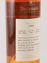 Load image into Gallery viewer, Delamain Playard Vintage 1995