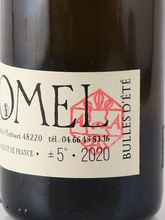 Load image into Gallery viewer, L'Arbre aux Abeilles Hydromel Air d'Ete Fleuri 750ml - image 4