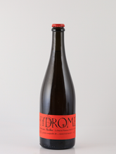Load image into Gallery viewer, L'Arbre aux Abeilles Hydromel Air d'Ete Boise 750ml