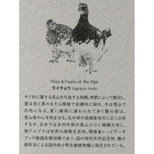Load image into Gallery viewer, Ikawa Fauna 2025 packaging detail with ptarmigan artwork and Japanese bird description