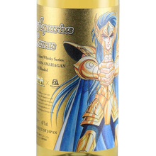 Load image into Gallery viewer, Saint Seiya Gold Saint Series Aquarius Camus