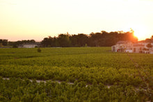 Load image into Gallery viewer, Marcel Lapierre Raisins Gaulois 2025 750ml - image 11