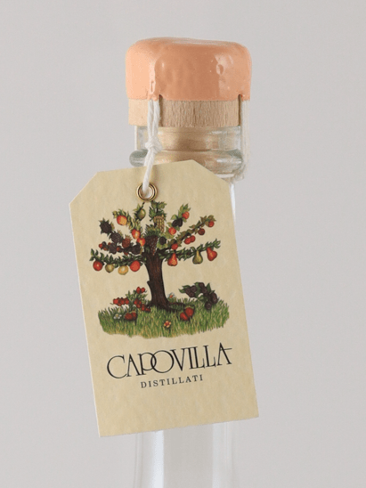 Capovilla Fruit Brandy Apple 2023 - Bottle Of Japan