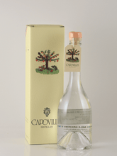 Load image into Gallery viewer, Capovilla Fruit Brandy Apple 2023 - Bottle Of Japan