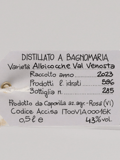 Capovilla Fruit Brandy Apricot 2023 - Bottle Of Japan