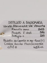 Load image into Gallery viewer, Capovilla Fruit Brandy Apricot 2023 - Bottle Of Japan
