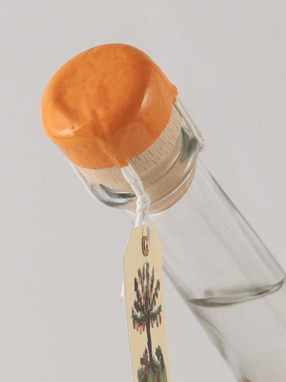 Capovilla Fruit Brandy Apricot 2023 - Bottle Of Japan