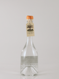 Capovilla Fruit Brandy Apricot 2023 - Bottle Of Japan