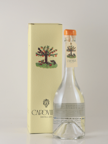 Capovilla Fruit Brandy Apricot 2023 - Bottle Of Japan