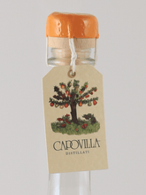 Load image into Gallery viewer, Capovilla Fruit Brandy Apricot 2023 - Bottle Of Japan