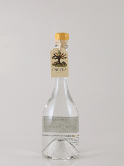 Capovilla Fruit Brandy Grape 2017 - Bottle Of Japan