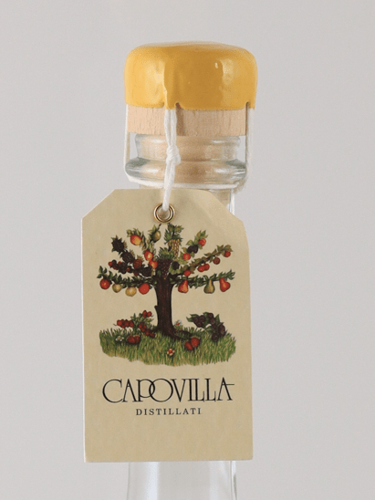 Capovilla Fruit Brandy Grape 2017 - Bottle Of Japan