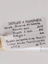 Load image into Gallery viewer, Capovilla Fruit Brandy Greengage 2015 - Bottle Of Japan