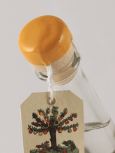 Load image into Gallery viewer, Capovilla Fruit Brandy Greengage 2015 - Bottle Of Japan